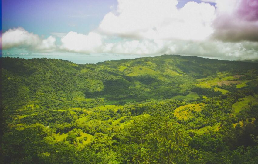 clouds jungle costa rica