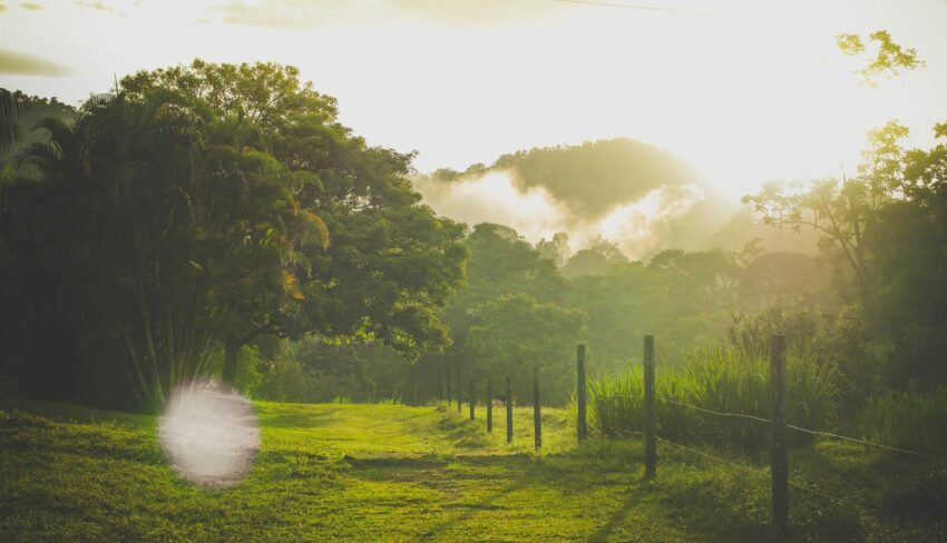 sundown in farm costa rica