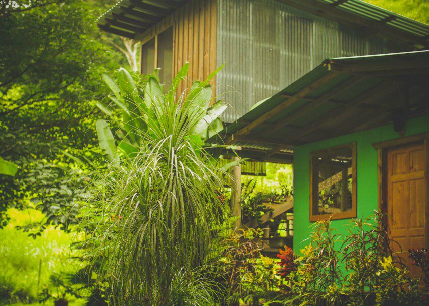 house in the jungle of costa rica
